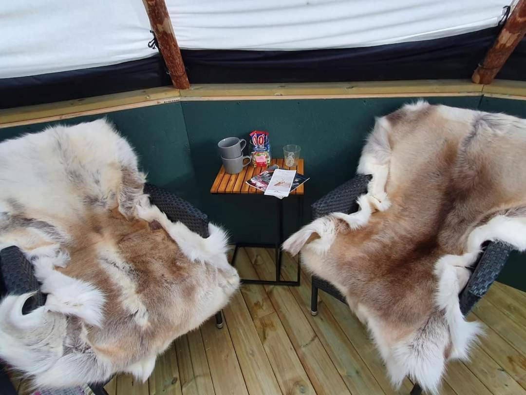 Reindeer Lodge Jukkasjärvi Exteriör bild
