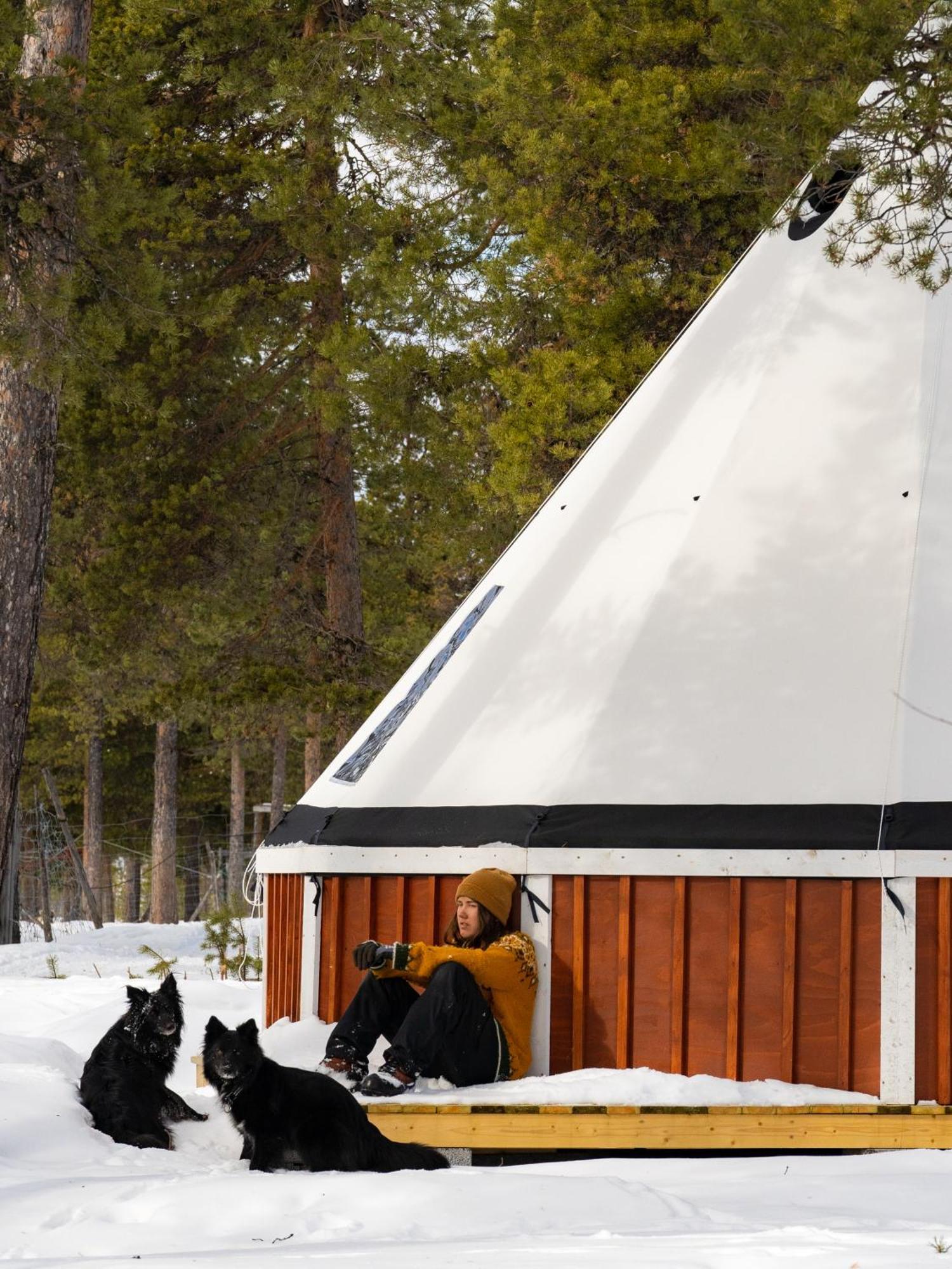 Reindeer Lodge Jukkasjärvi Exteriör bild