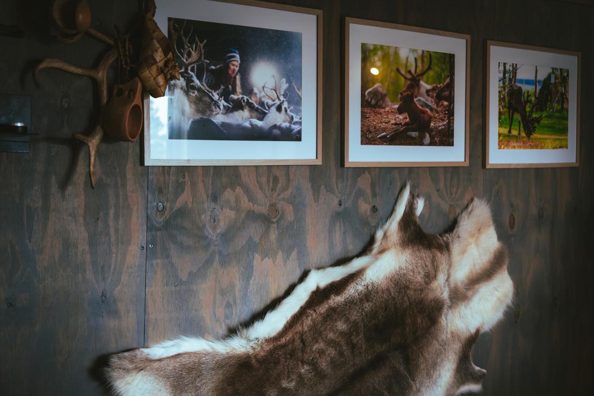 Reindeer Lodge Jukkasjärvi Exteriör bild